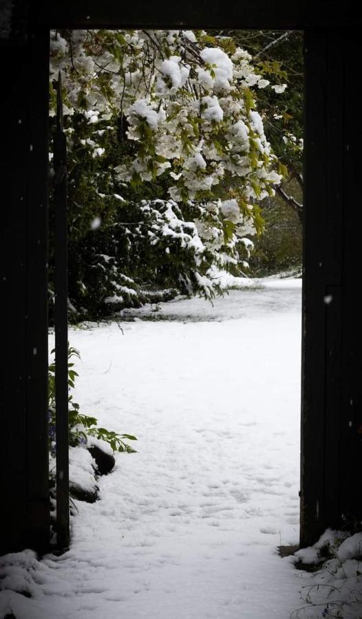 Arden Country House Bnb - Entire House To Yourself -Peace In The Country Dunedin Dış mekan fotoğraf