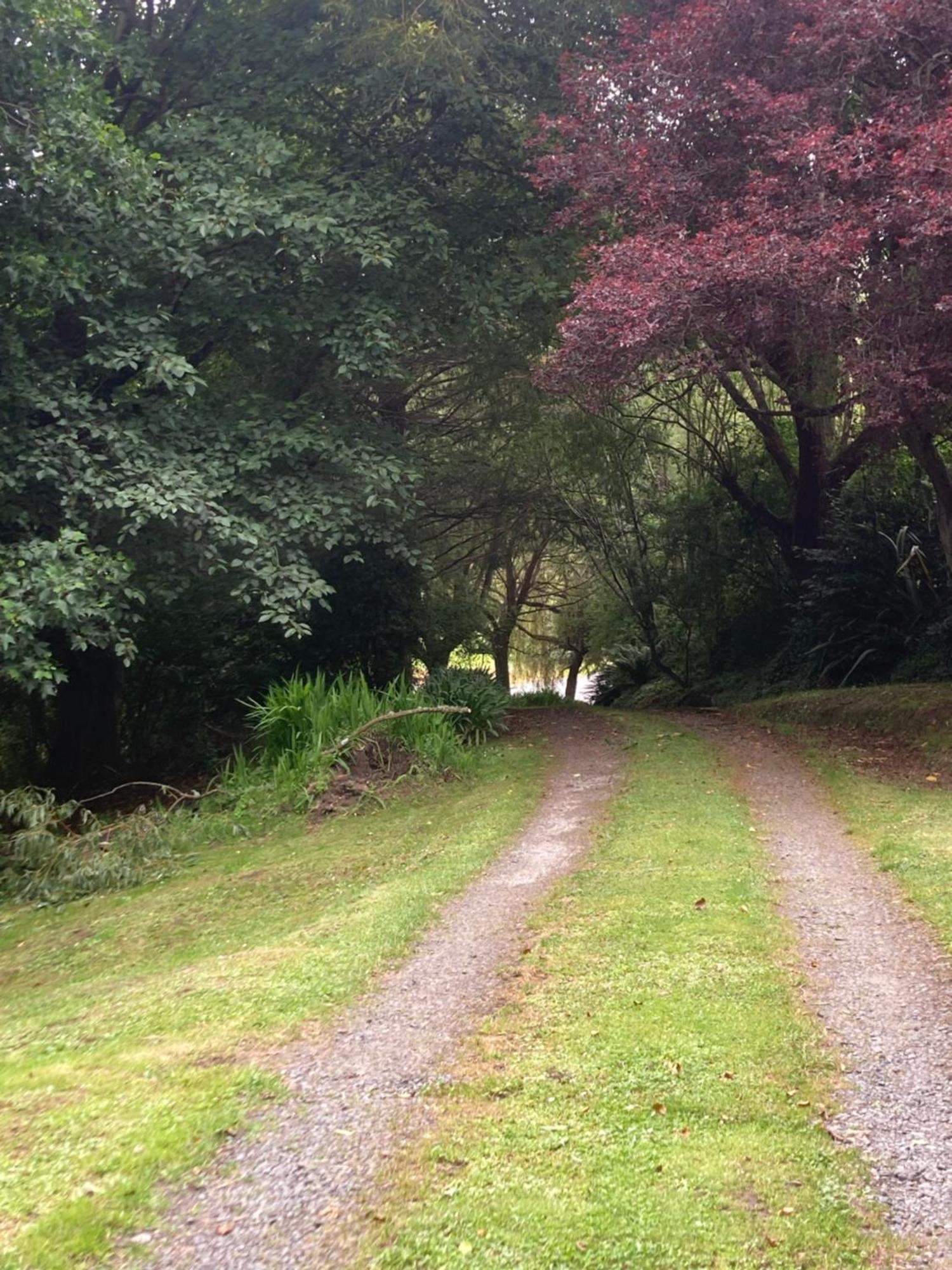 Arden Country House Bnb - Entire House To Yourself -Peace In The Country Dunedin Dış mekan fotoğraf